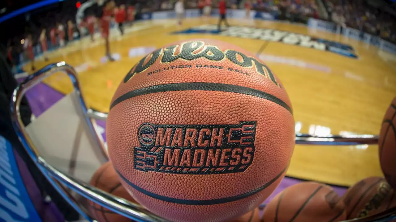 NCAA Women's Tournament Selection Show: How to Watch, Schedule, Bracket