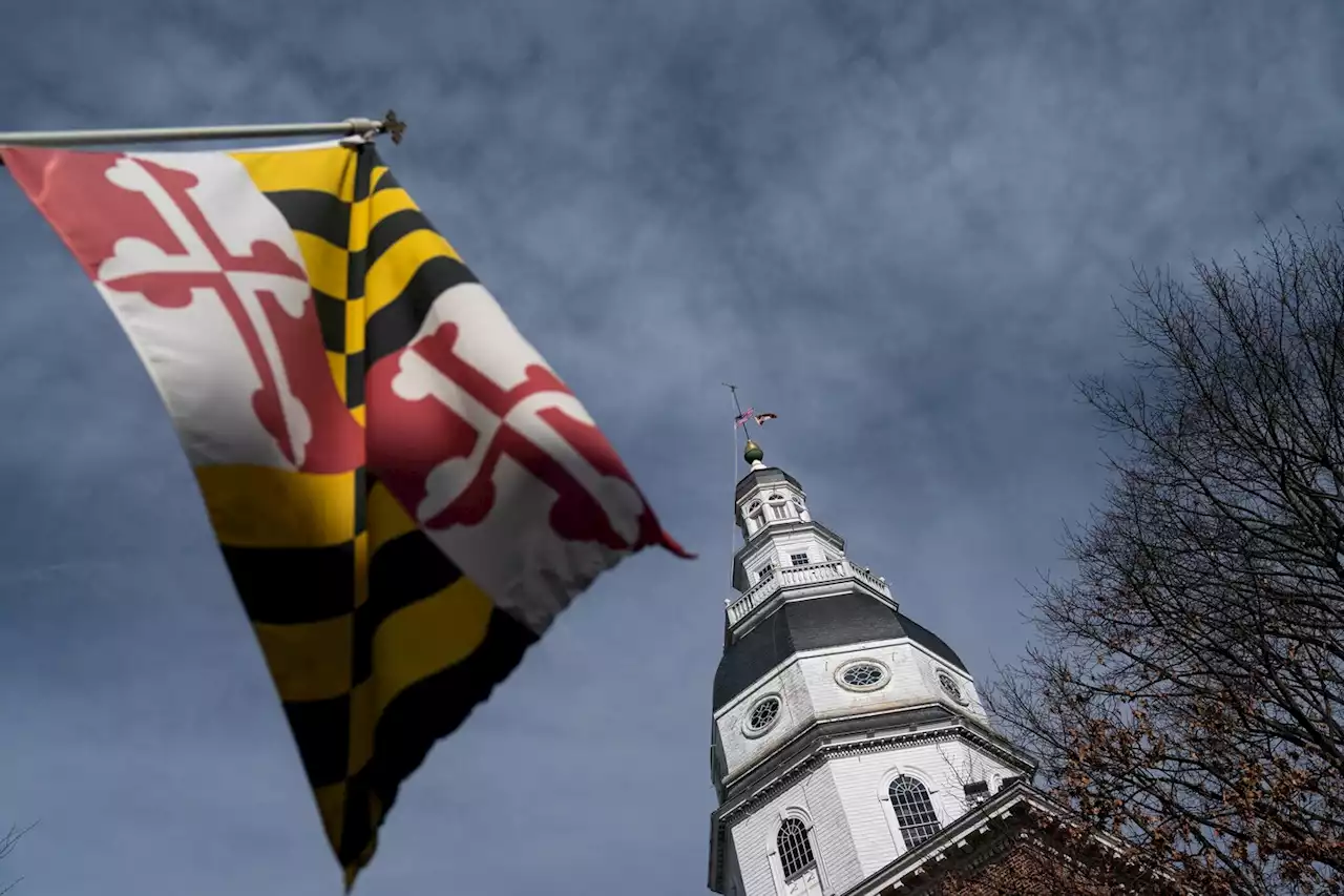 Top Maryland Democratic party official resigns after questioning electability of Black candidates