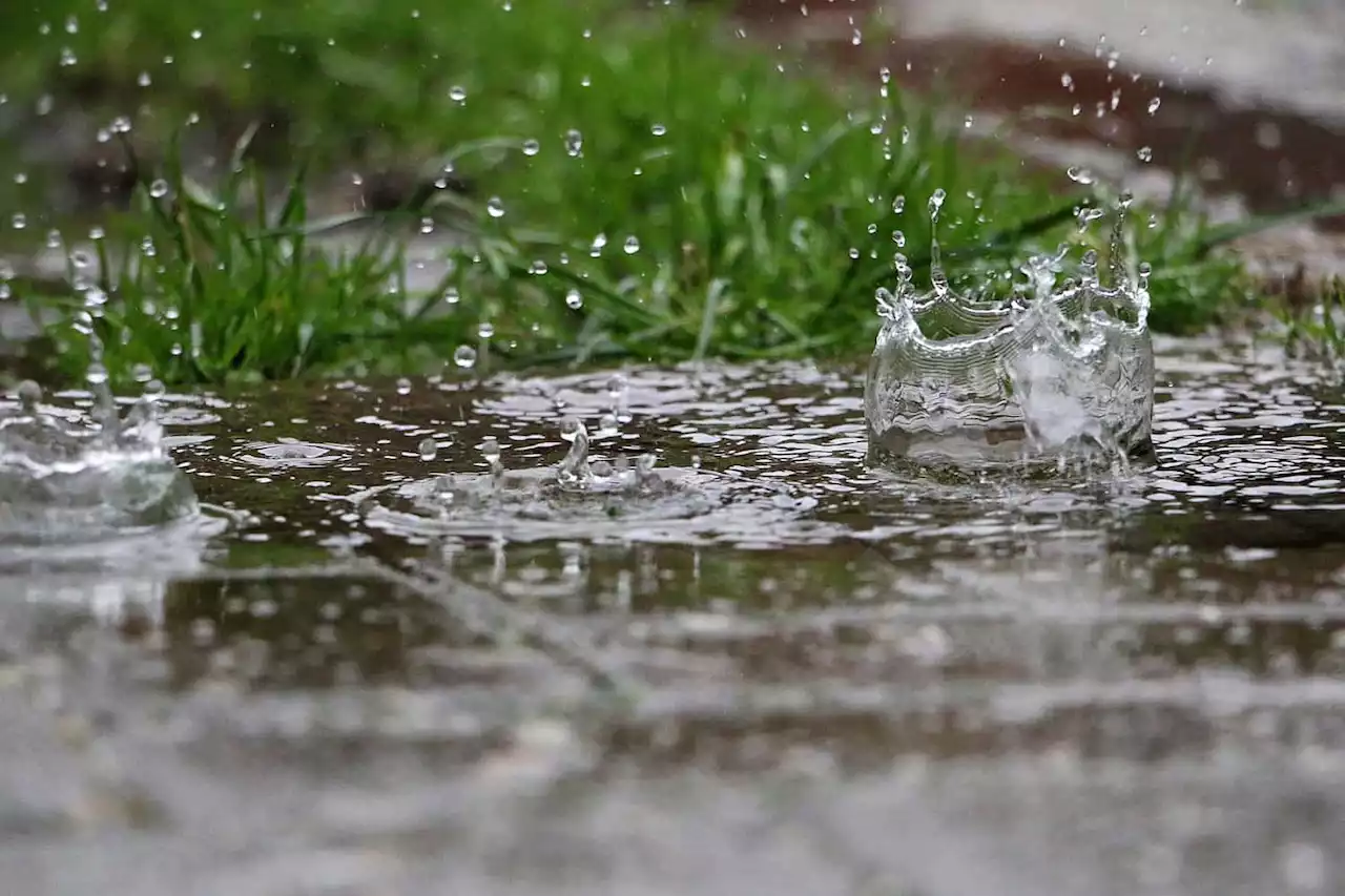 Level 2 warning issued for disruptive rain in parts of Gauteng, Limpopo