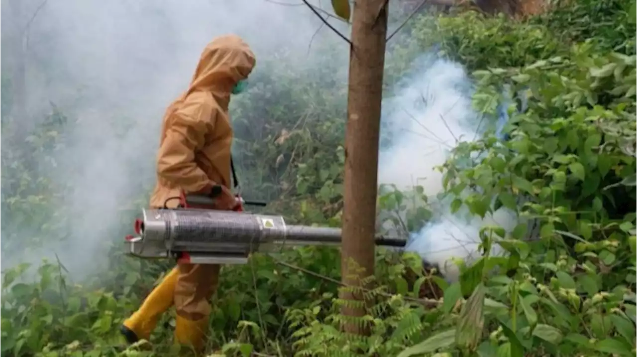 Kawasan Kemah Presiden Jokowi di IKN Steril dari Malaria