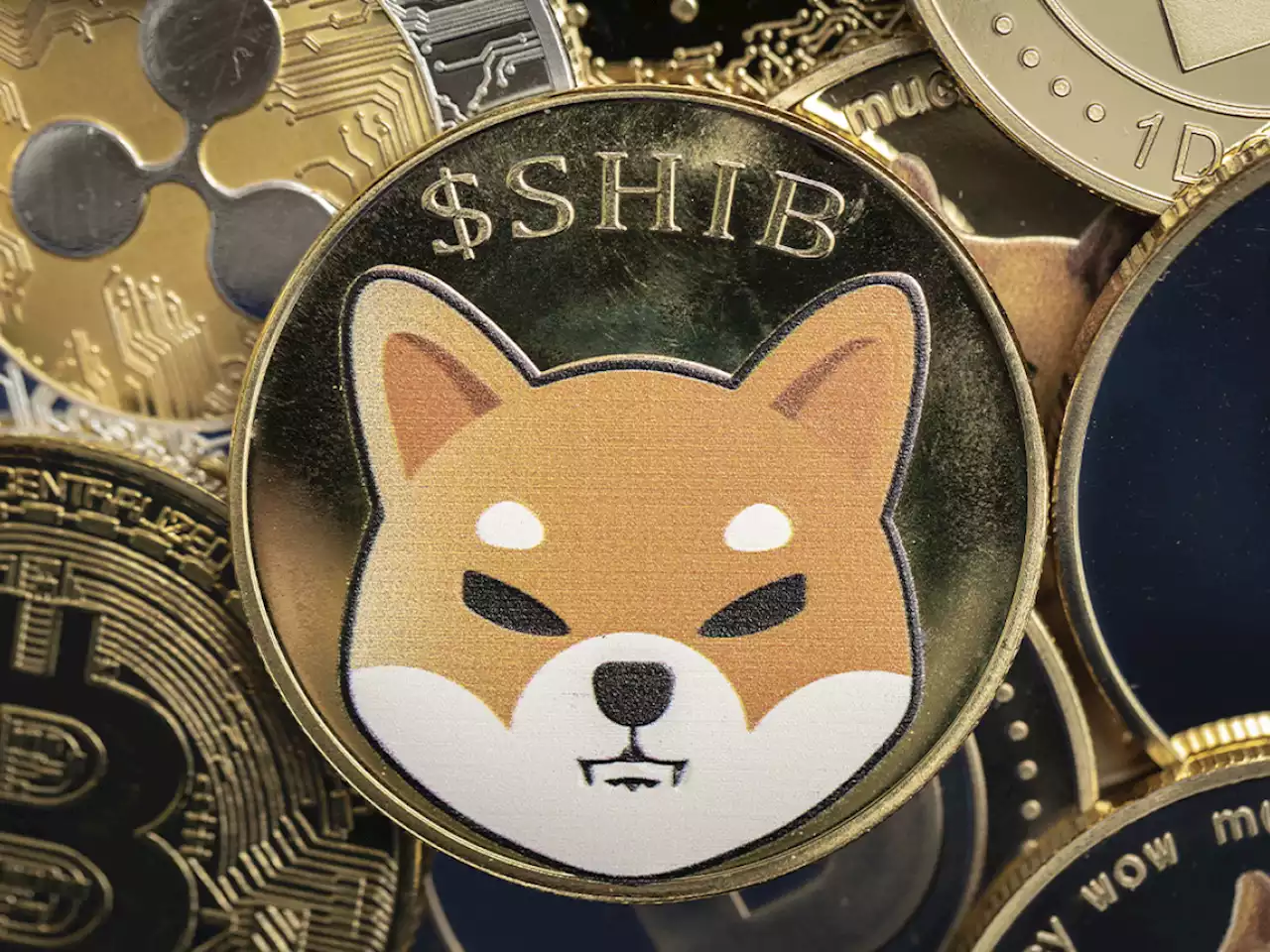 50 Billion SHIB Grabbed by This Top SHIB Whale, He Now Owns 4 Trillion Tokens: Etherscan