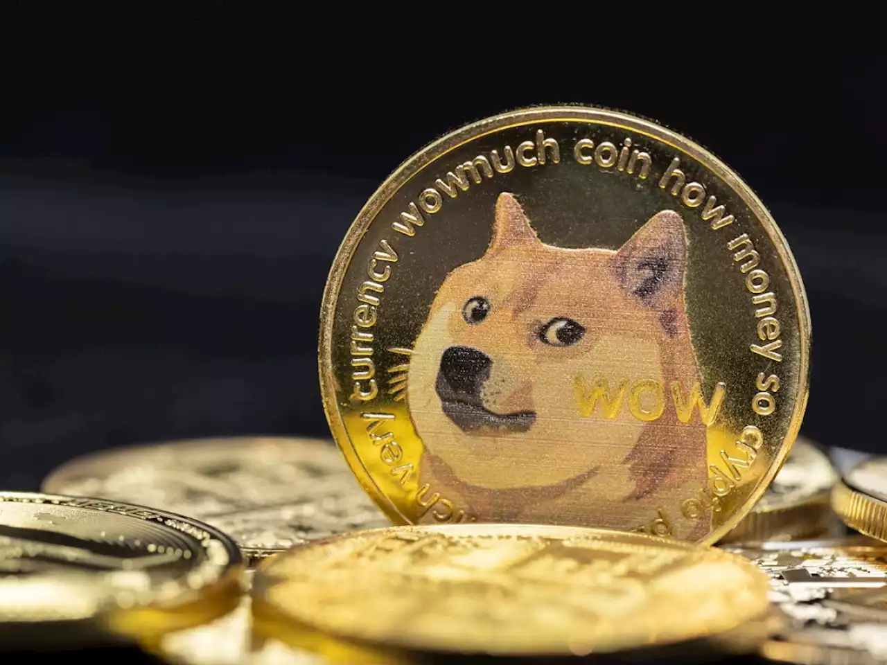 Dogecoin Price Spikes as Elon Musk Says That He Won't Sell His Crypto