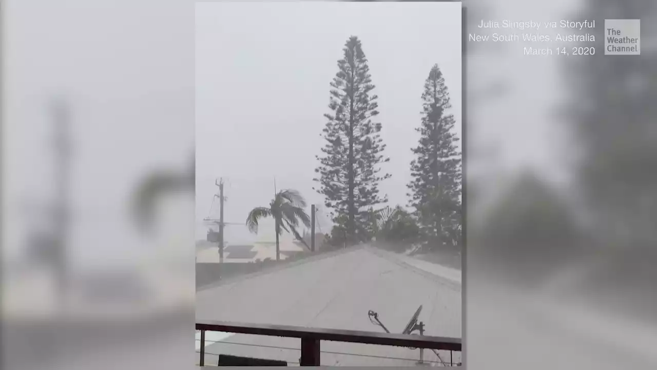 Lightning Strikes Tree Near Homes in Australia - Videos from The Weather Channel | weather.com