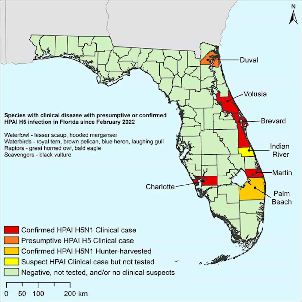 FWC says bird flu is probably in Duval County, but humans at low risk