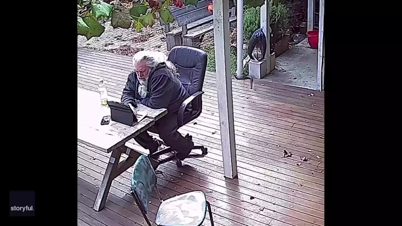 'It Definitely Went for Me': Australian Man Chilling on Deck in Close Encounter With Sneaky Snake