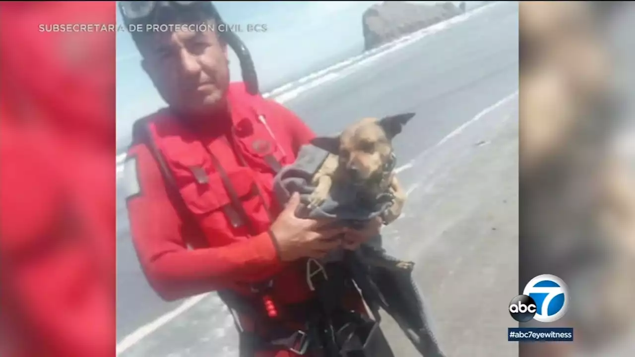 SoCal man missing after boat found abandoned in Mexico with dog, belongings still on board