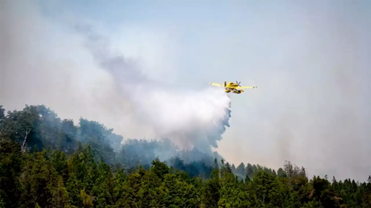 Lograron contener el incendio forestal de Bariloche y surgió un foco activo en San Luis