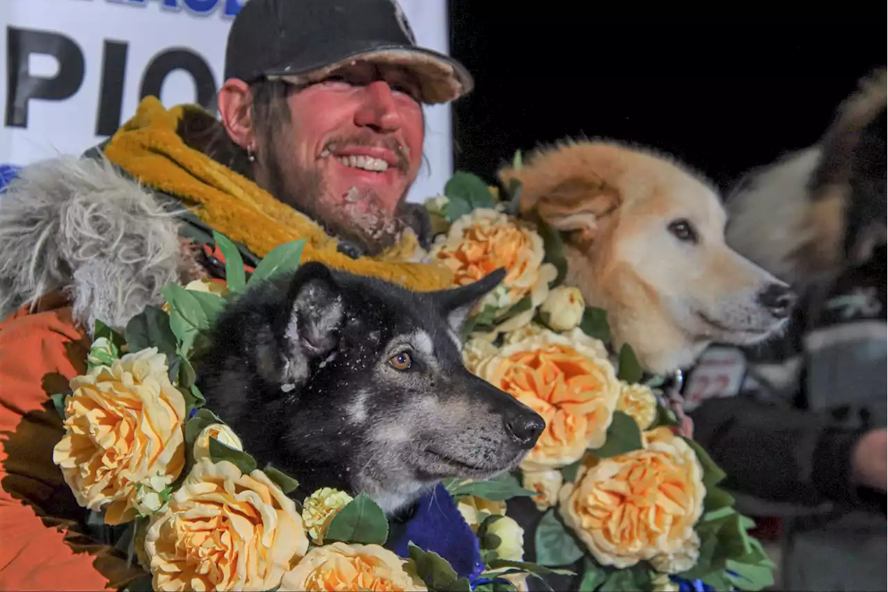 Meet Slater and Morello, the sled dogs that led Brent Sass to victory - Alaska Public Media