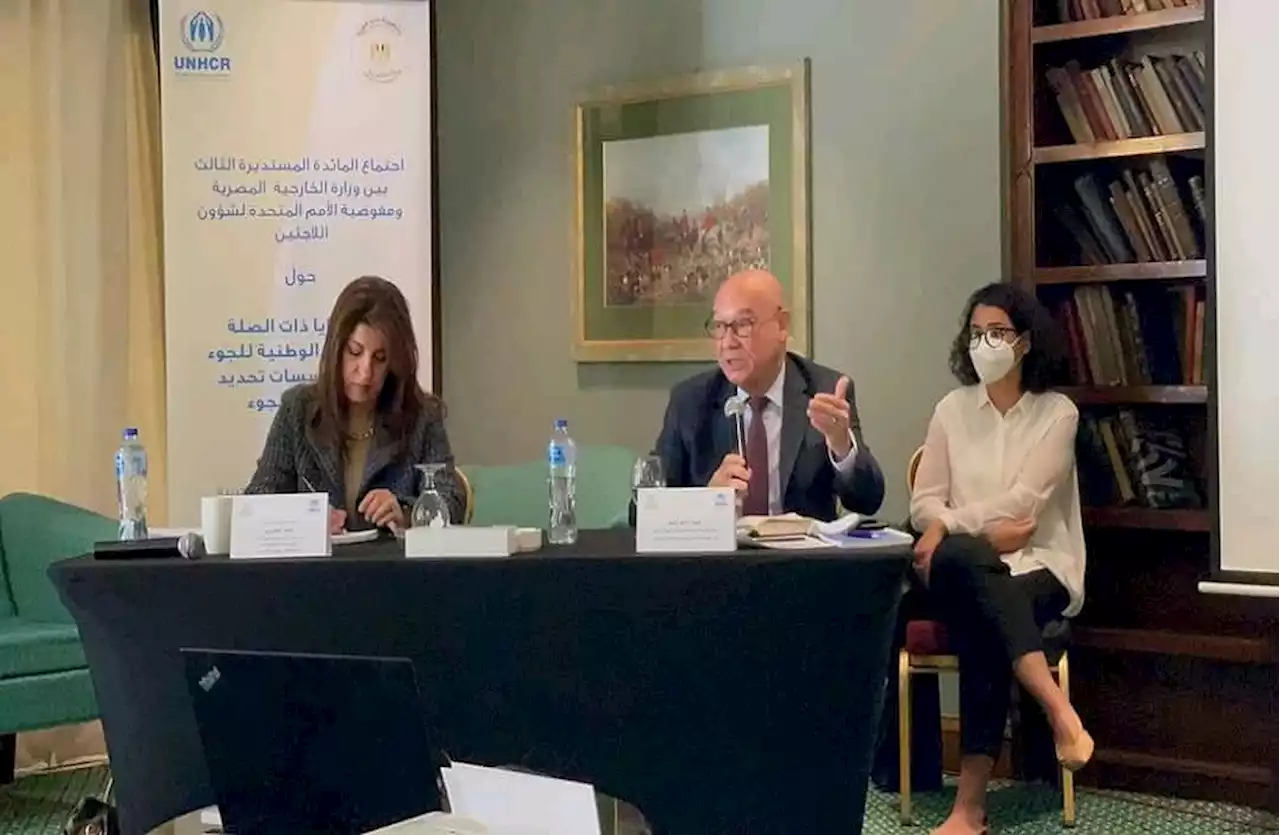 إشادة كبيرة باستضافة مصر للاجئين بورشة عمل أممية لدعم صياغة قانون اللجوء في "القاهرة" |صور - بوابة الأهرام