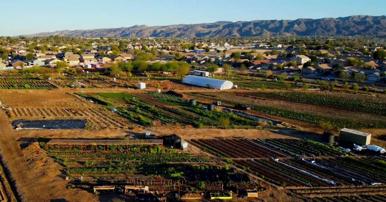 One city is offering fellowships to encourage young people to farm