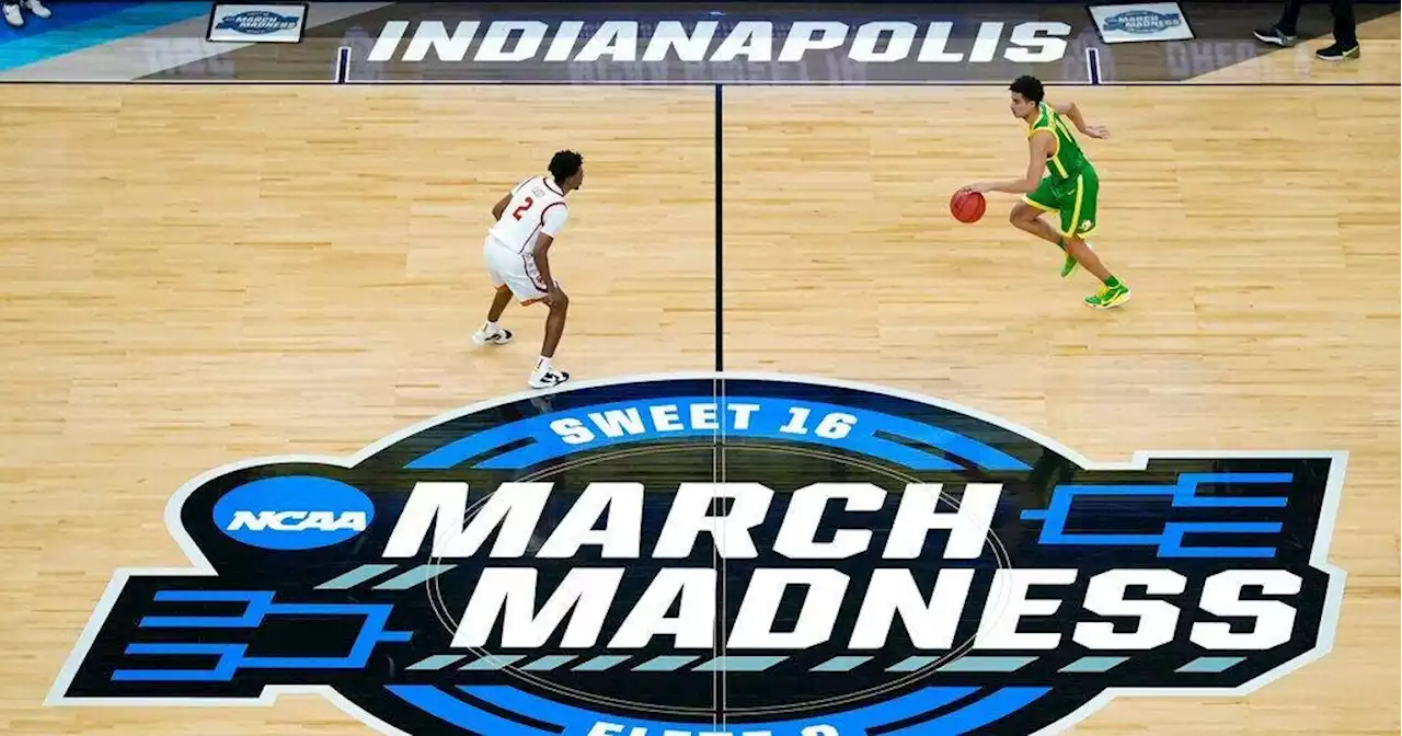 Everything you need to know about the NCAA Tournament before filling out your bracket