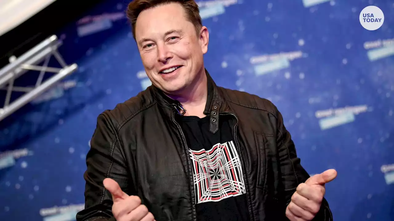 Elon Musk challenges Vladimir Putin to single combat on Twitter: 'Stakes are Ukraine'