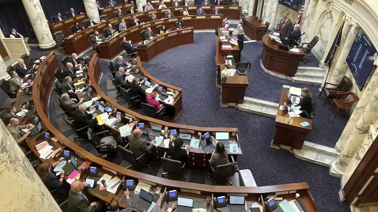 Idaho House sends Texas-styled abortion measure to governor