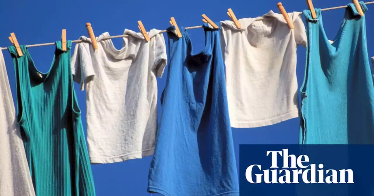 Laundry 101: why cheap detergent is fine and how to decode garment care symbols