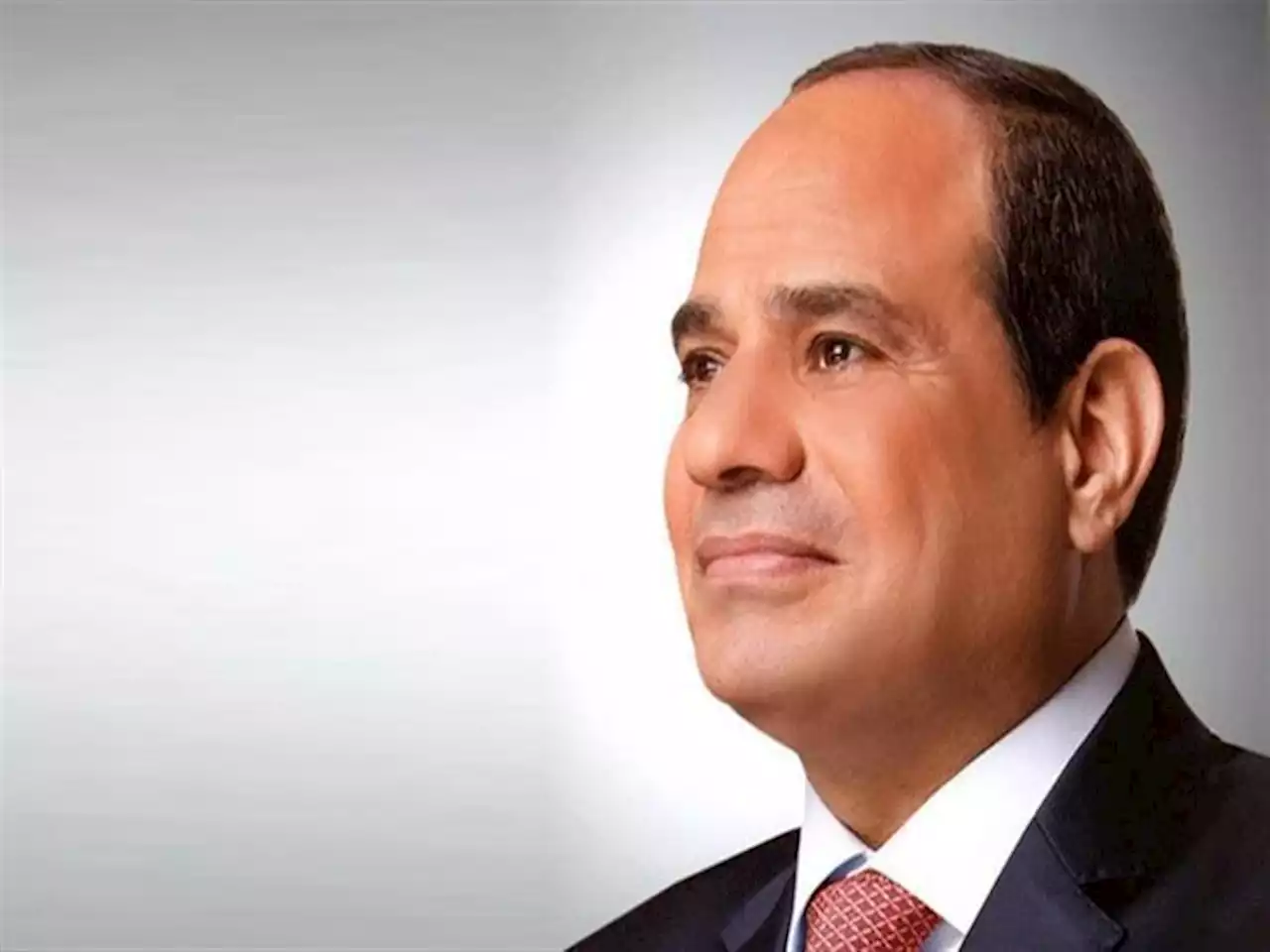 بعد توجيه السيسي.. مصدر حكومي يكشف: حافز جديد لتوريد القمح