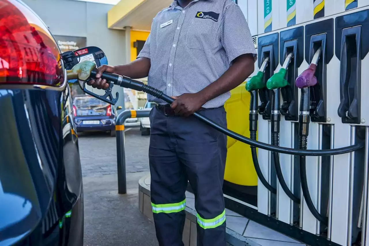 SA weighs petrol-price cap, rationing to curb costs