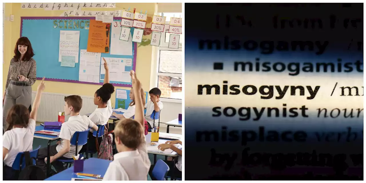 Primary schools must teach leassons on misogyny