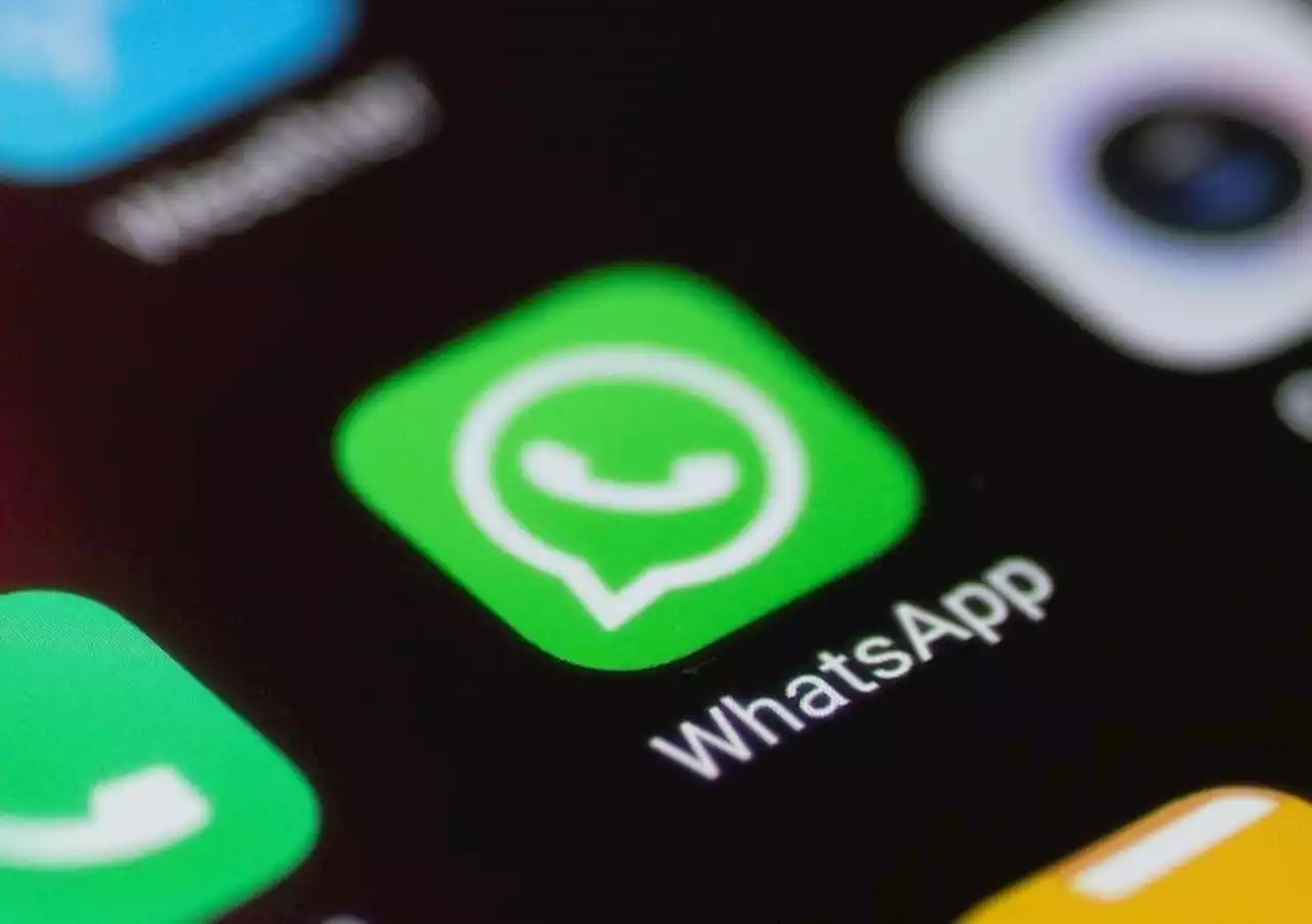 WhatsApp hits back: GovChat defied policies, favoured 'commercial interests over public' | Fin24