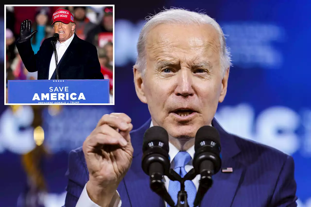 Majority of Americans don’t believe Biden will seek second term in 2024: poll