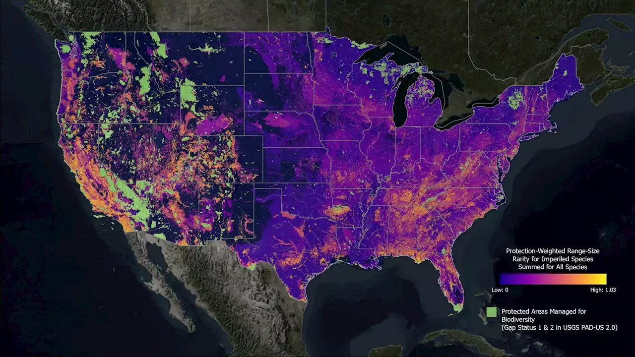 Here's where biodiversity is disappearing the quickest in the US