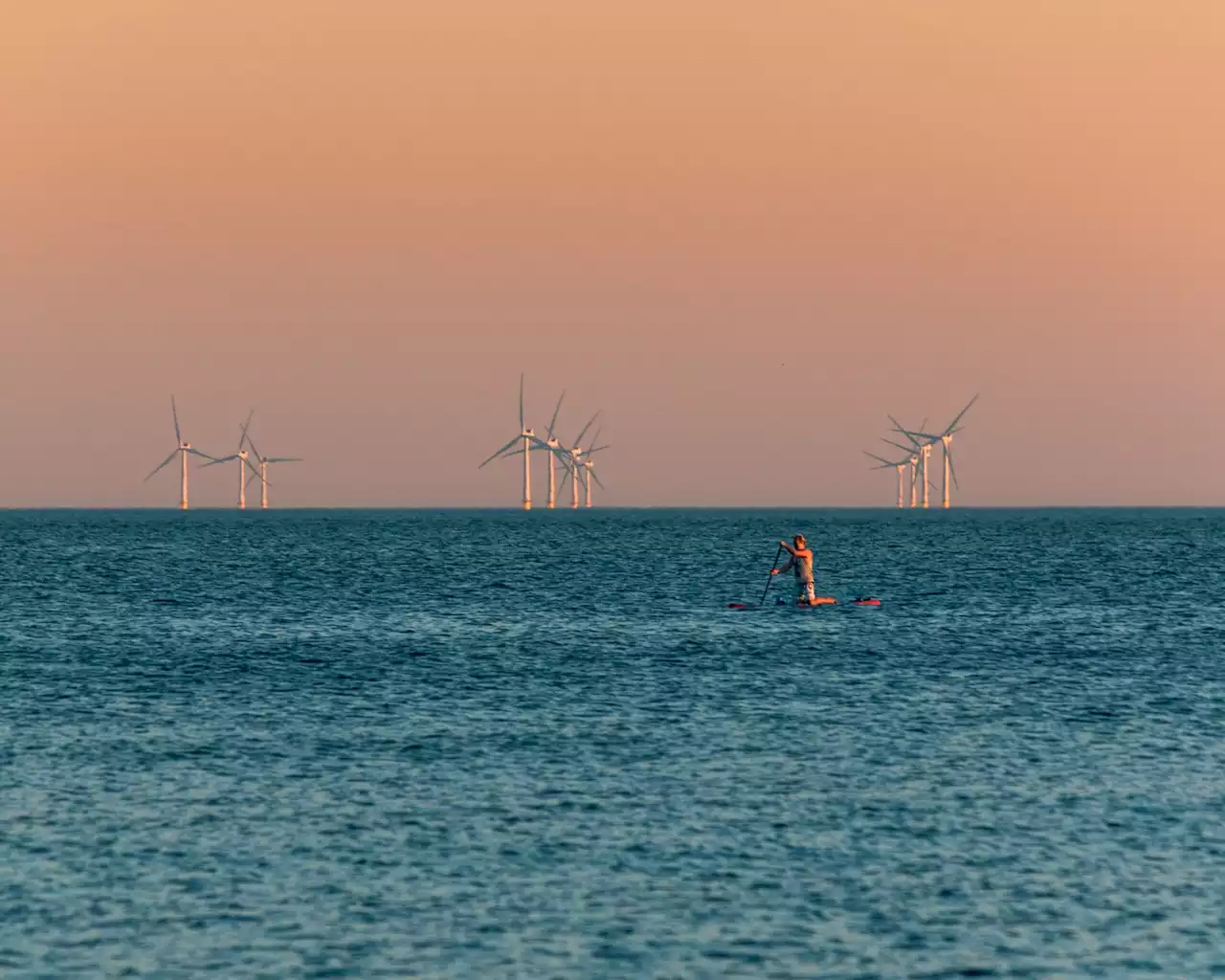 Minimizing offshore wind's impact on nature is tricky, but not impossible