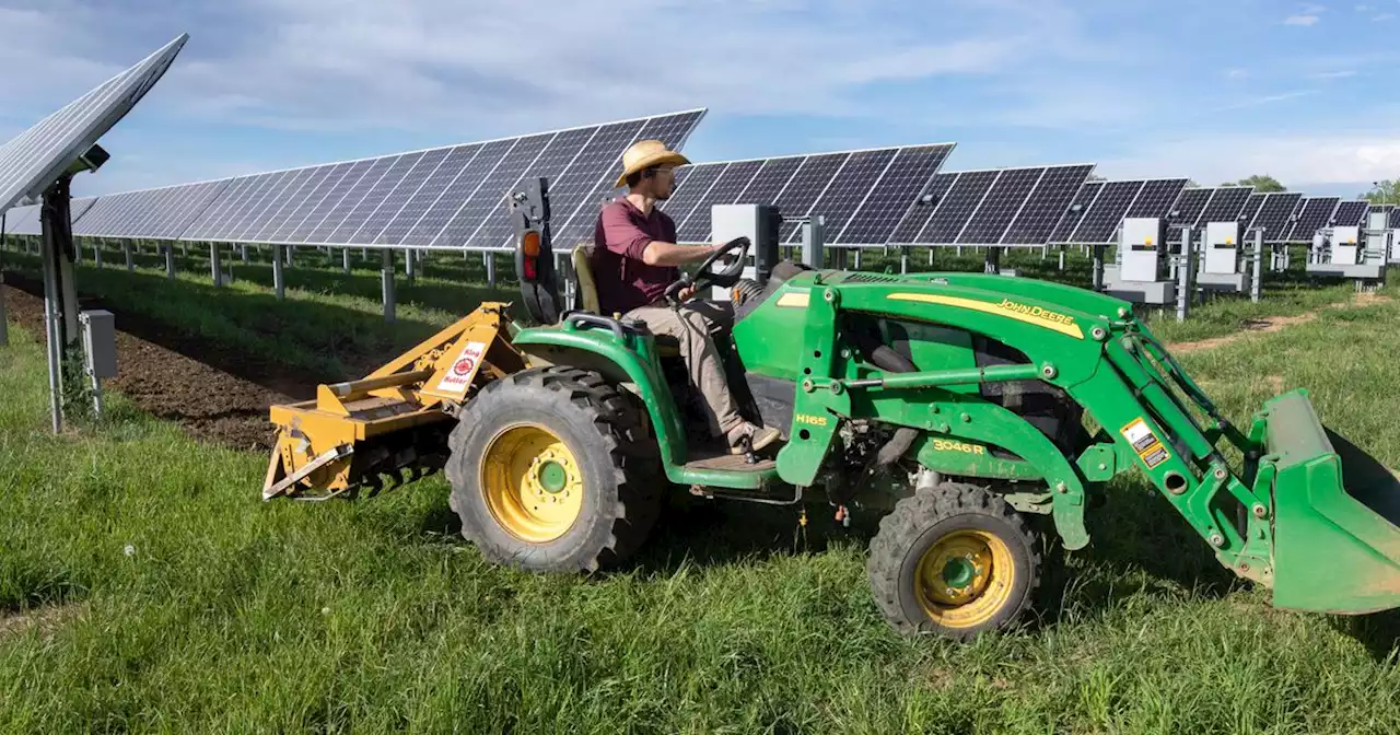 Dave Marston: Two Colorado counties split over solar energy