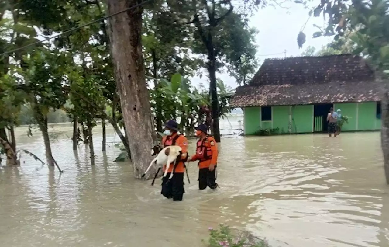 Banjir Landa 3 Kecamatan di Grobogan, Dipicu Hujan dan Sungai Meluap