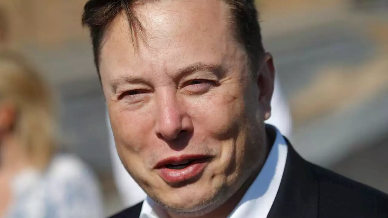 Elon Musk fordert Wladimir Putin zum Kampf auf: 'Einsatz ist die Ukraine'