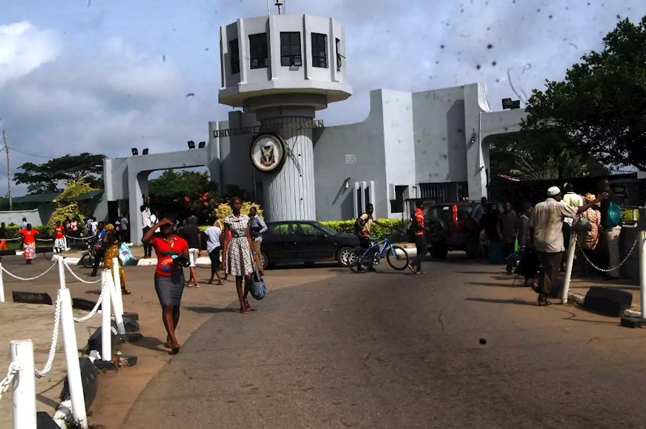 Revamping Nigeria's university system through concessions: An elixir to ASUU crisis | TheCable