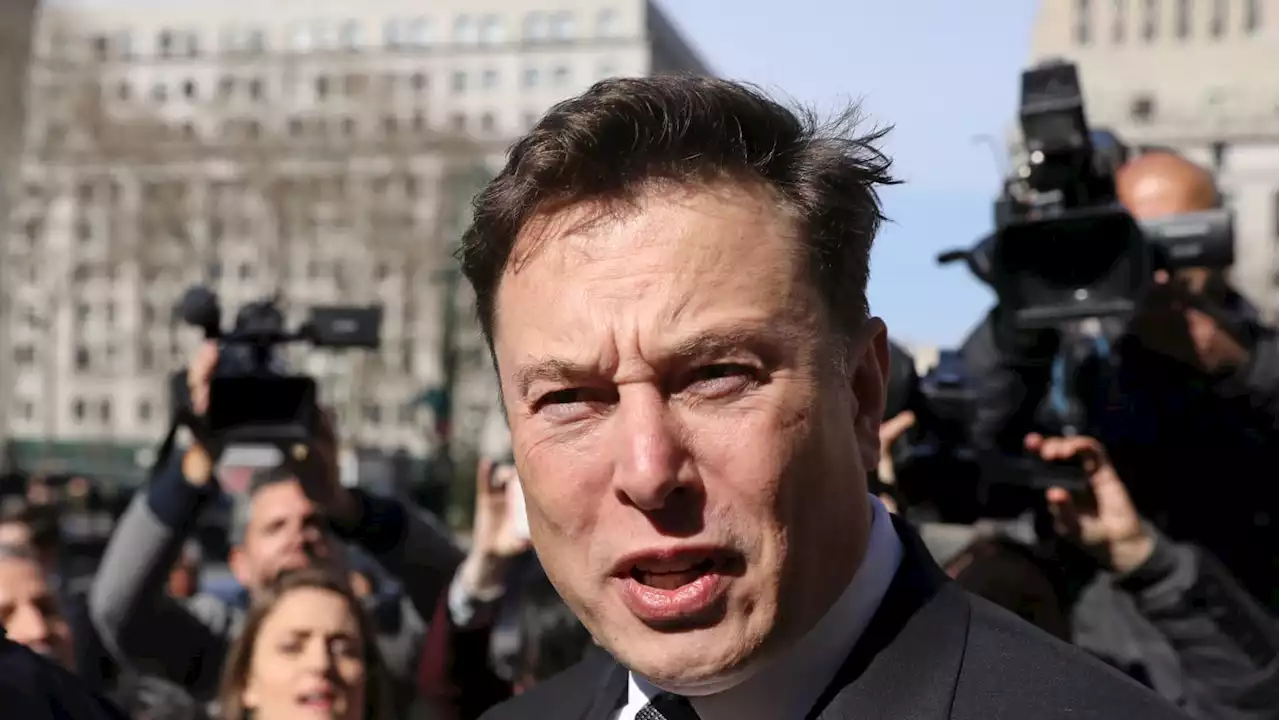 Elon Musk Challenges Vladimir Putin to a Duel—Winner Gets Ukraine?