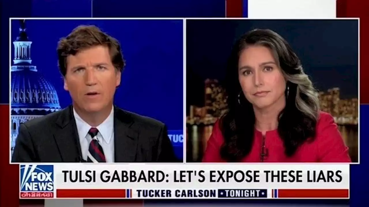 Tulsi Hates Daily Beast Report on Her Alleged Russian Agent Donor