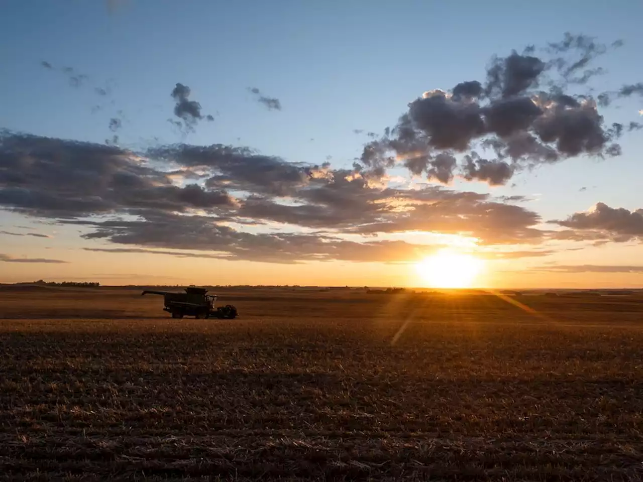 Saskatchewan government cites supply chain issue, extends crop insurance deadline