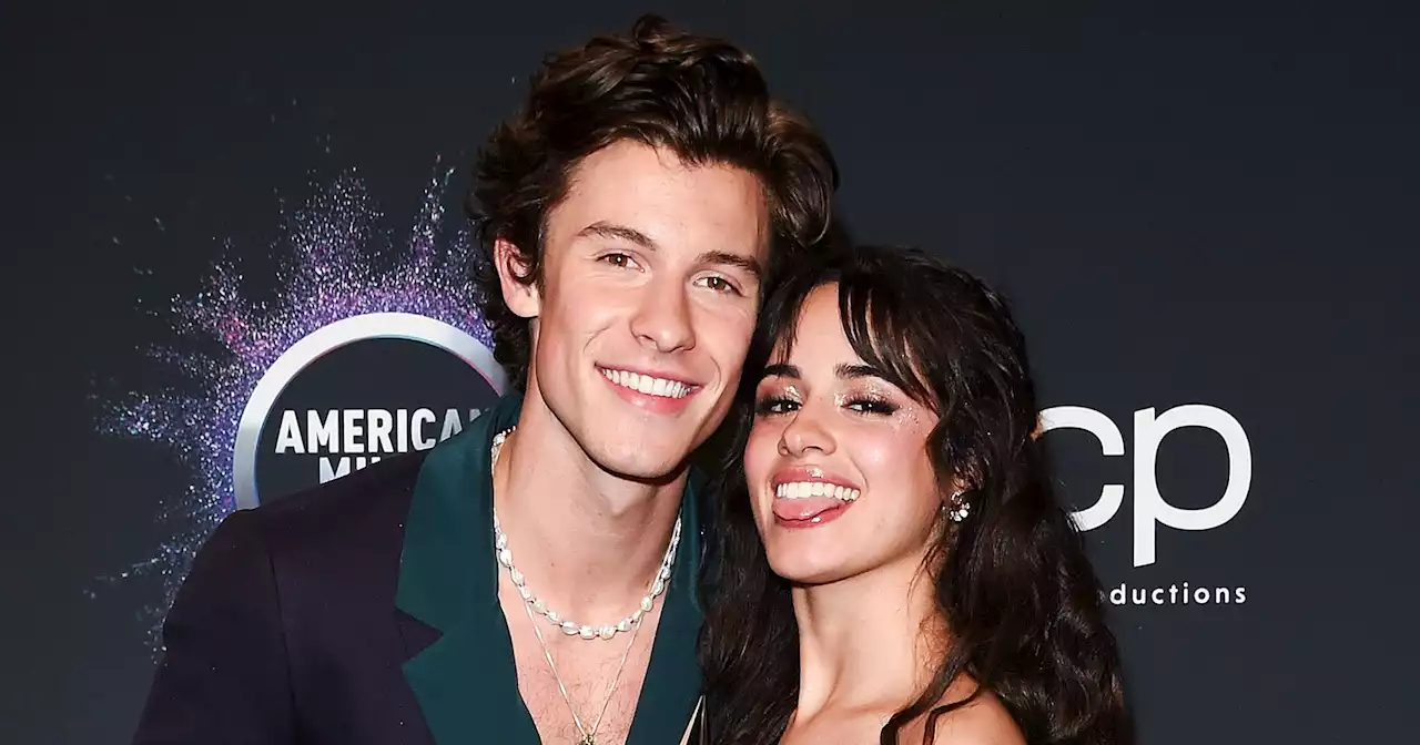 Shawn Mendes on Camila Cabello Relationship Scrutiny: 'I Really Don't Care'