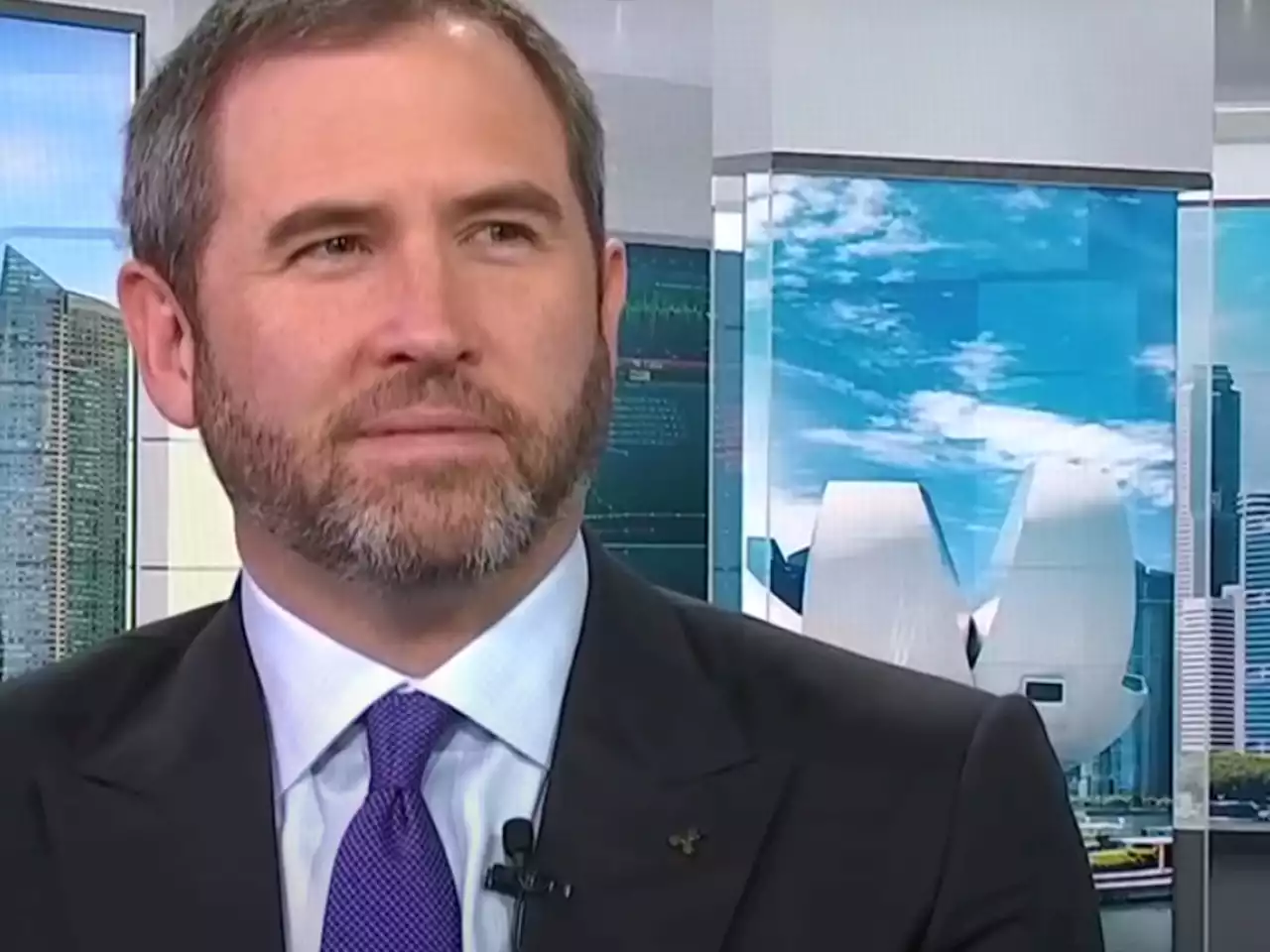 Ripple CEO 'Very Pleased' with Recent Court Decision