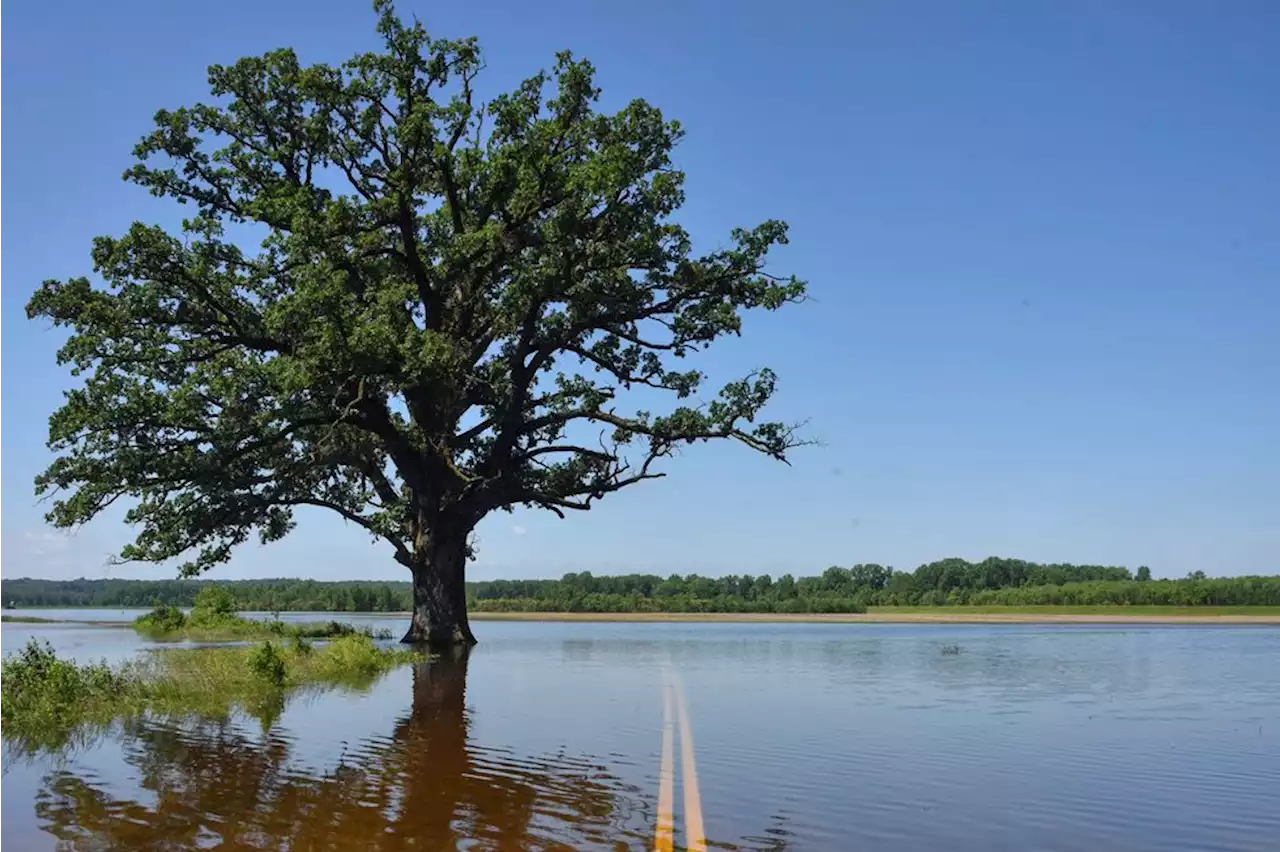 Climate change to make pollen season nastier