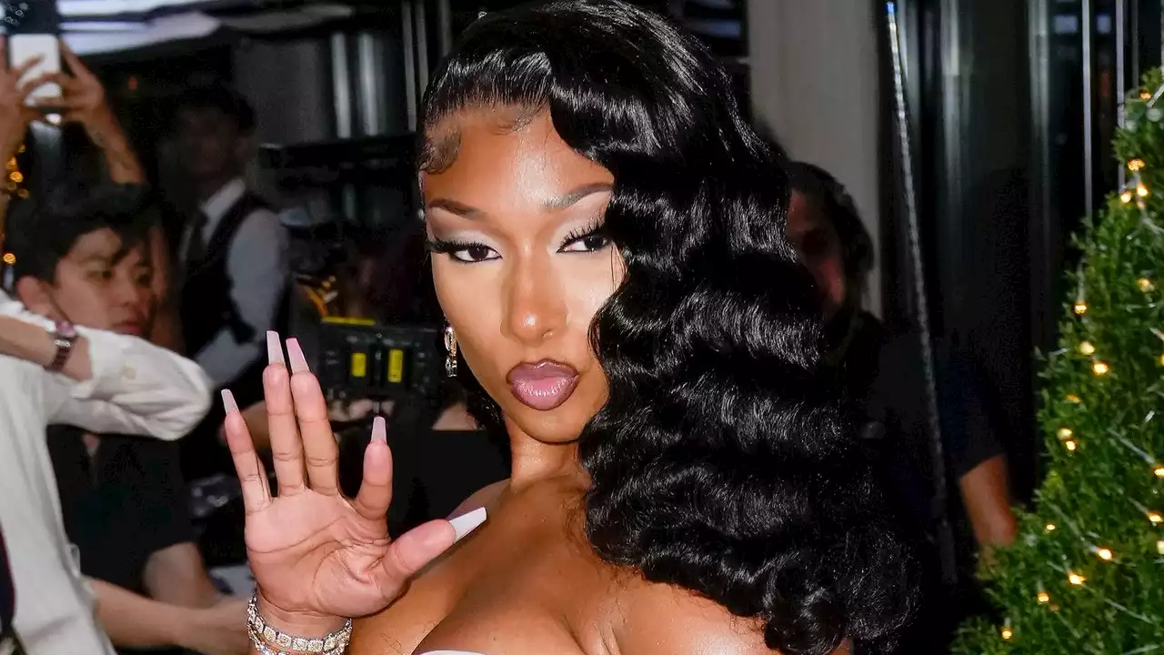 Megan Thee Stallion Celebrated Her Dog's Birthday in the Longest Ponytail I've Ever Seen