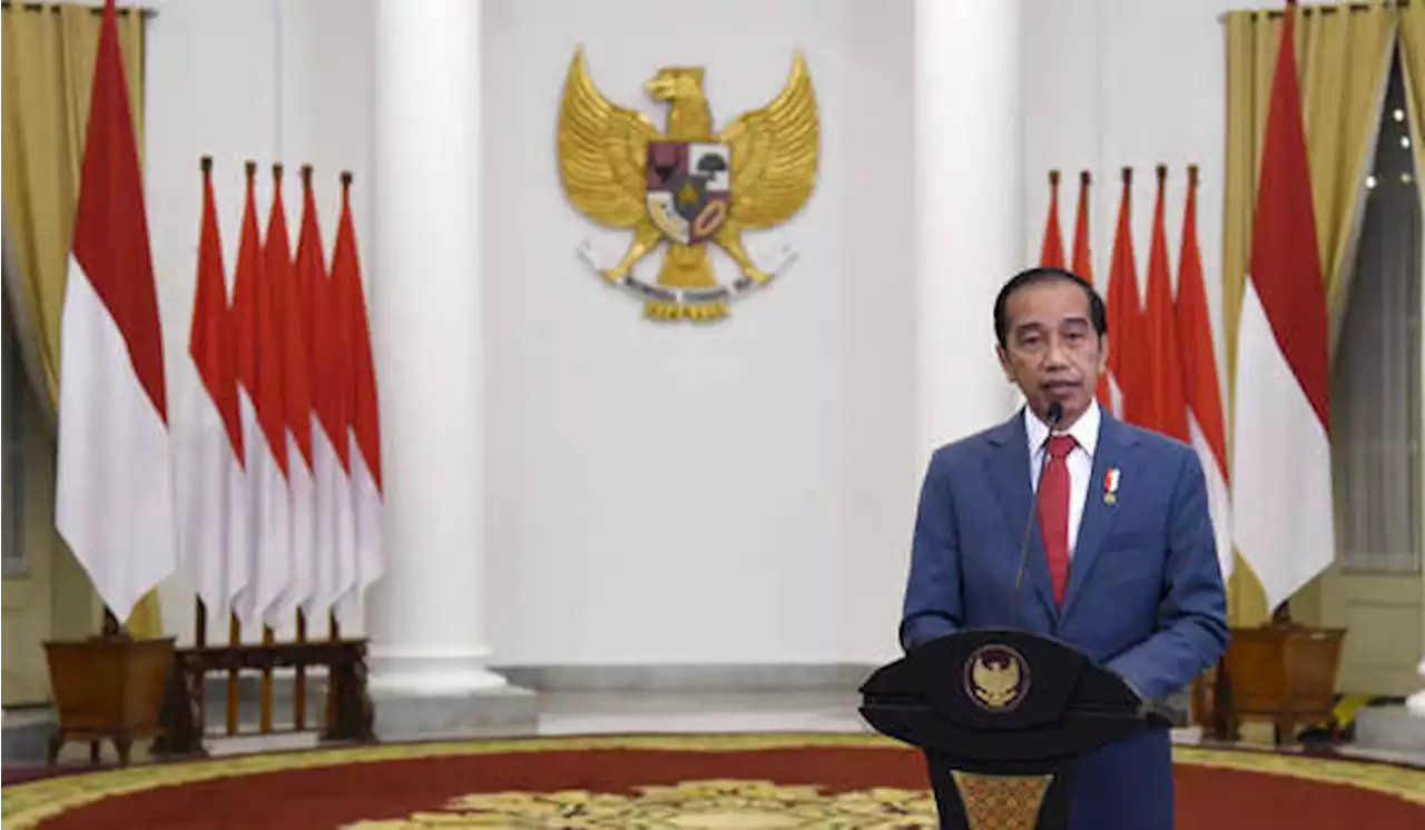 Jokowi Jelaskan Alasan Pemerintah Subsidi Minyak Goreng Curah