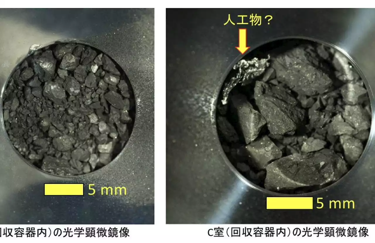 Scientists found the building blocks of life on an asteroid