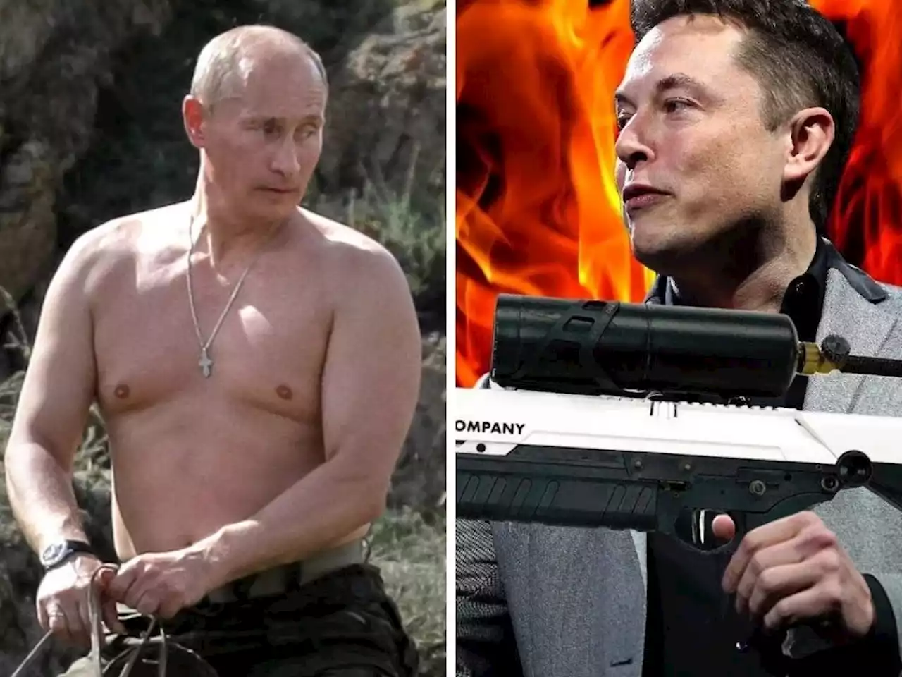 Elon Musk says Vladimir Putin can 'bring his bear' to their man-on-man fight over Ukraine