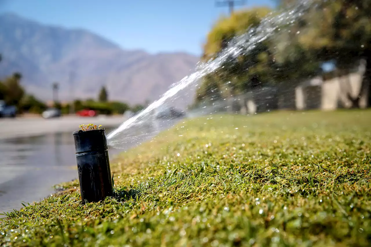 Californians used more water as state braces for another dry year