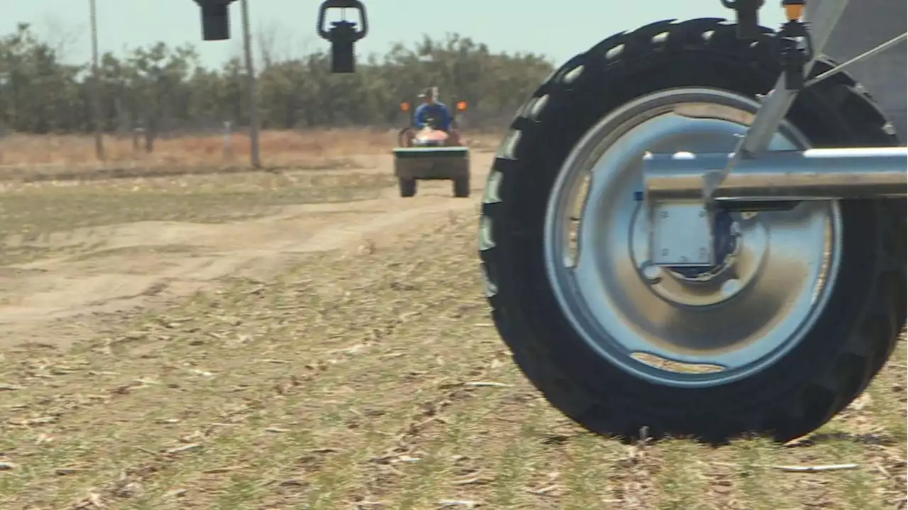 Colorado Wheat Farmers Seeing Prices Surge: 'Prices Have Almost Doubled'