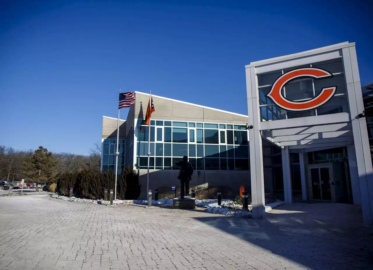 Chicago Bears and Lake County Forest Preserves teaming up to eradicate buckthorn from Halas Hall campus