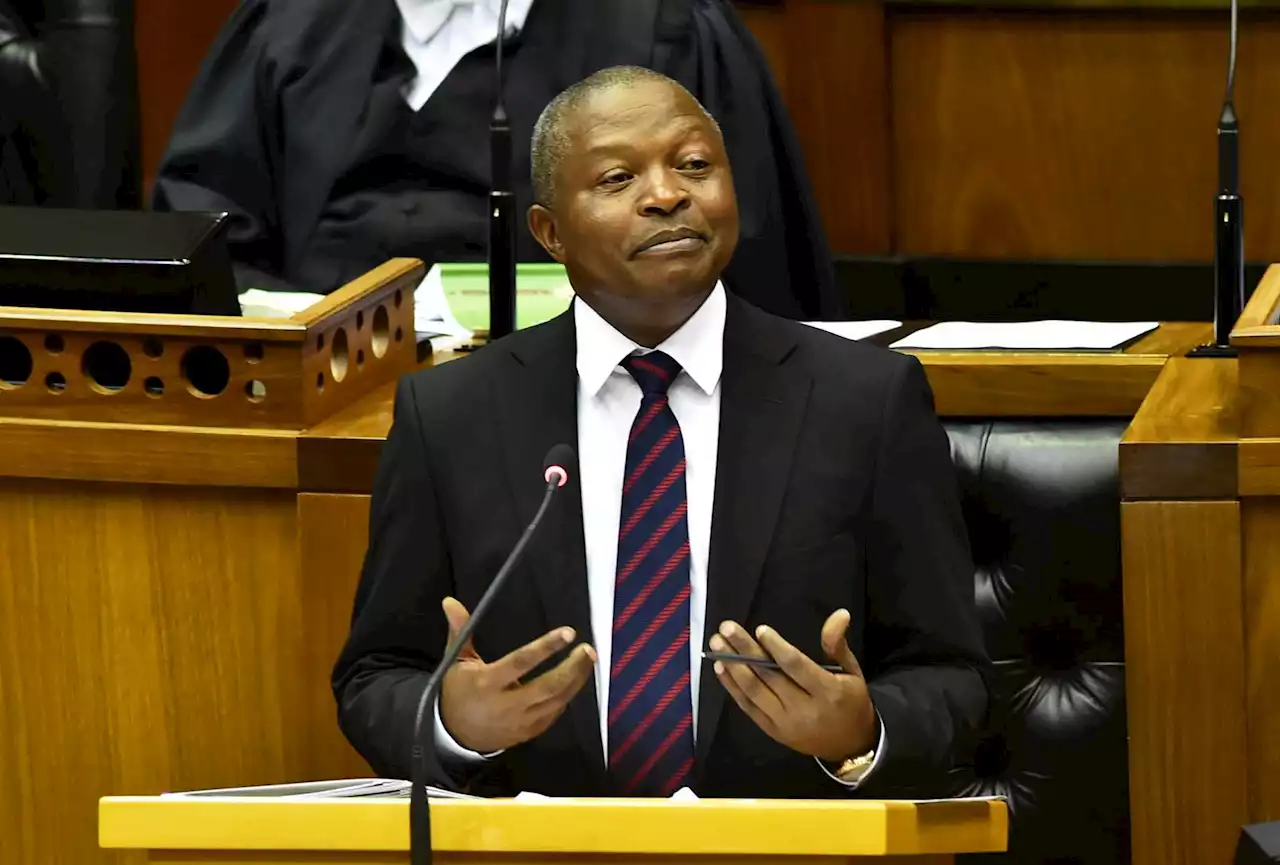 Mabuza promises firmer action against undocumented foreign nationals and defends neutral stance on Ukraine | Citypress