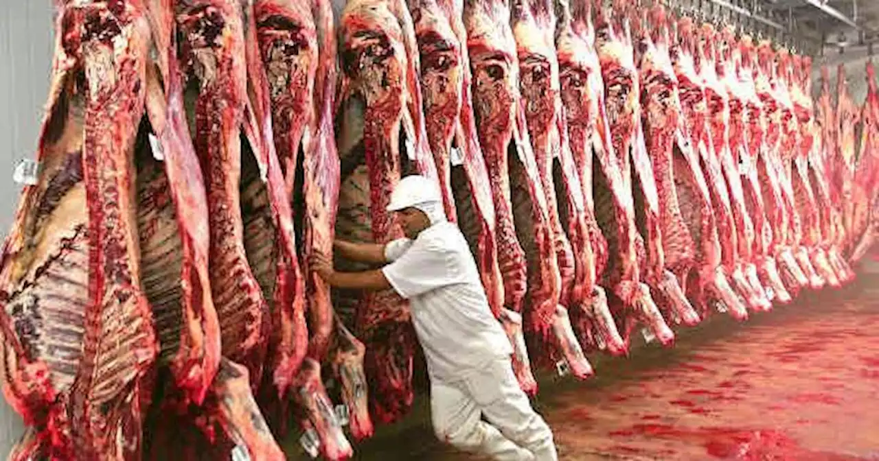 Carne: el Gobierno intim� a frigor�ficos a cumplir con el abastecimiento del plan Cortes Cuidados