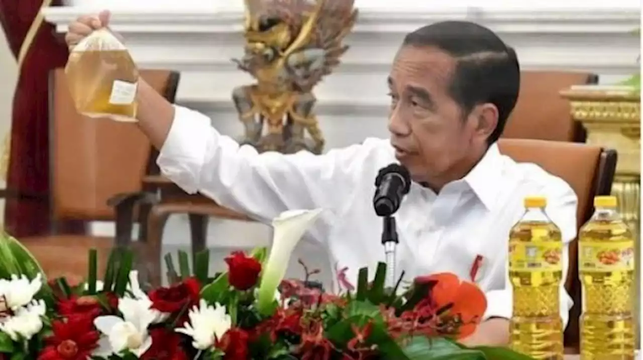 Jokowi Turun Langsung Atasi Kelangkaan Minyak Goreng, Netizen : Menterinya Suruh Kerja yang Benar