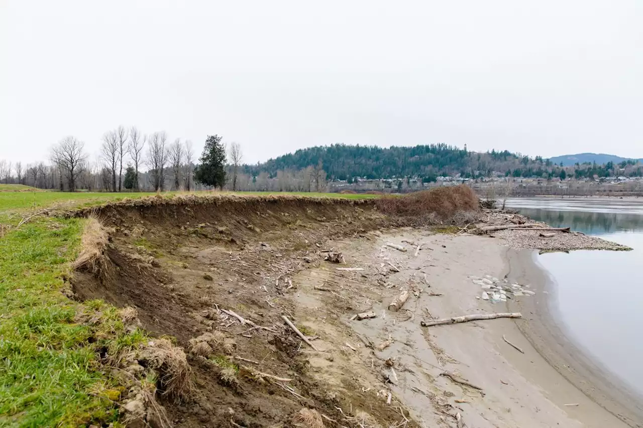 Ottawa promises national insurance for homes in high-risk flood areas