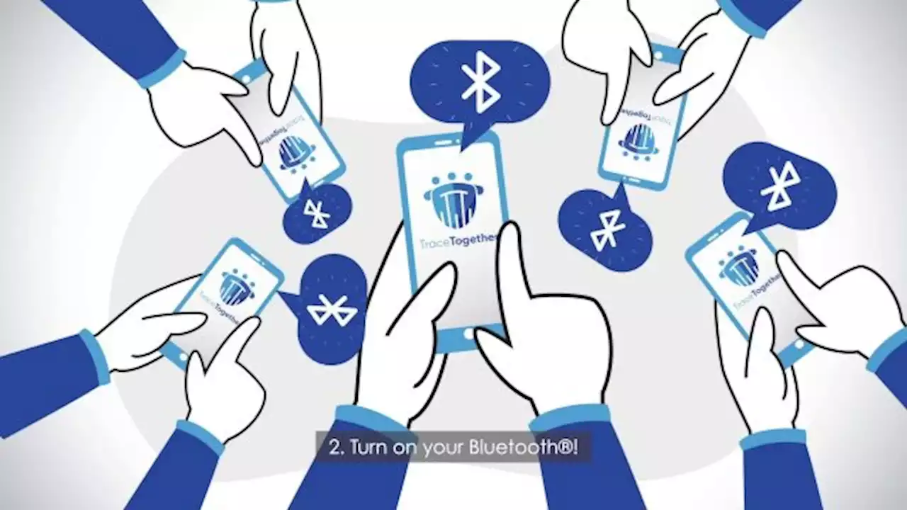 “TraceForever”? Suspicions arise that TraceTogether is here for the long haul after GovTech job ad - The Independent Singapore News