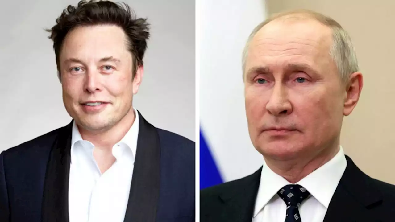 Round 2: Elon Musk now says he will fight Putin using only his left hand