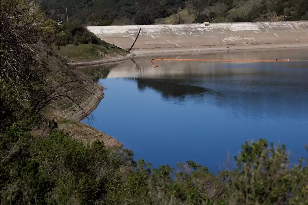 California drought: Californians fail to hit water conservation targets by wide margin — is it disaster fatigue?