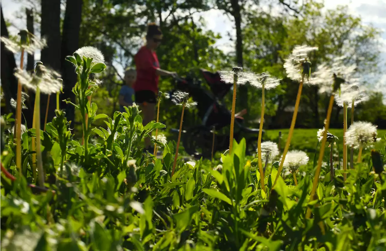 Climate Change is Already Making Allergy Season Nastier -- And It's Going to Get Worse